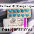 Cápsulas De Hormiga Negra new07